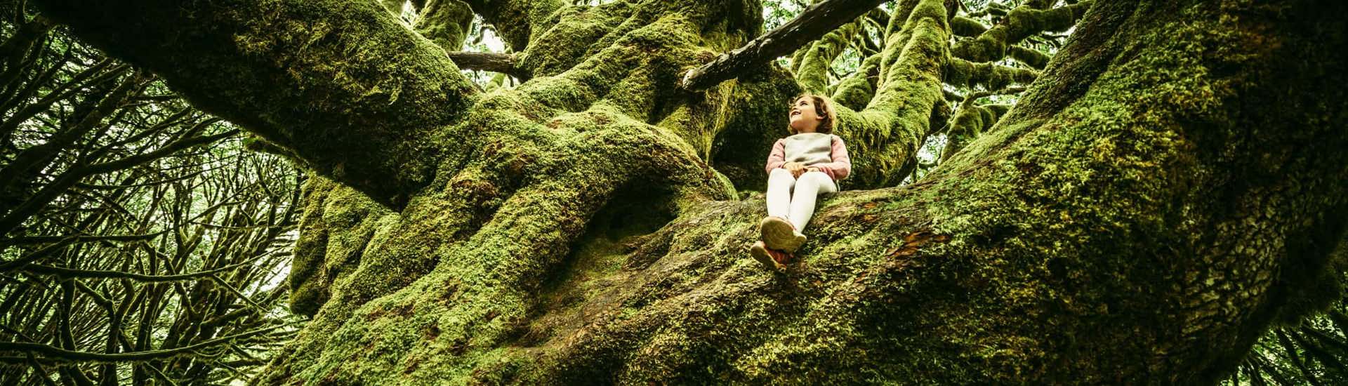 Kindje in groene boom: Grootouders voor het Klimaat