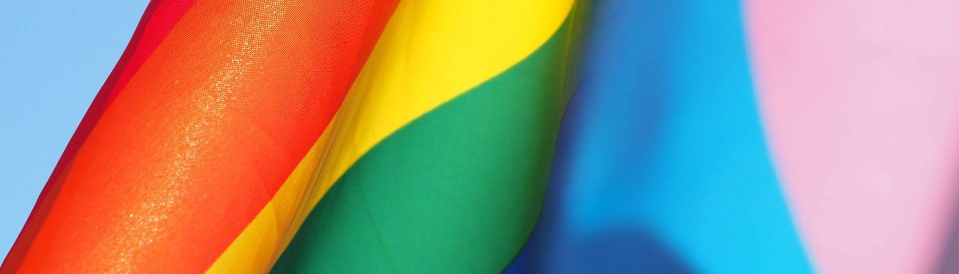 regenboogvlag: LGBTQ+: Gedachteflarden van een papa 