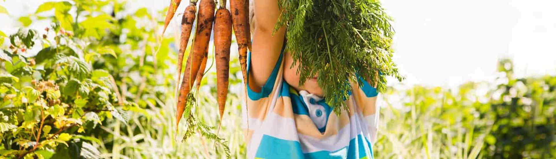 Kind met wortels: Schep geen hormoonverstoorders op je bord 