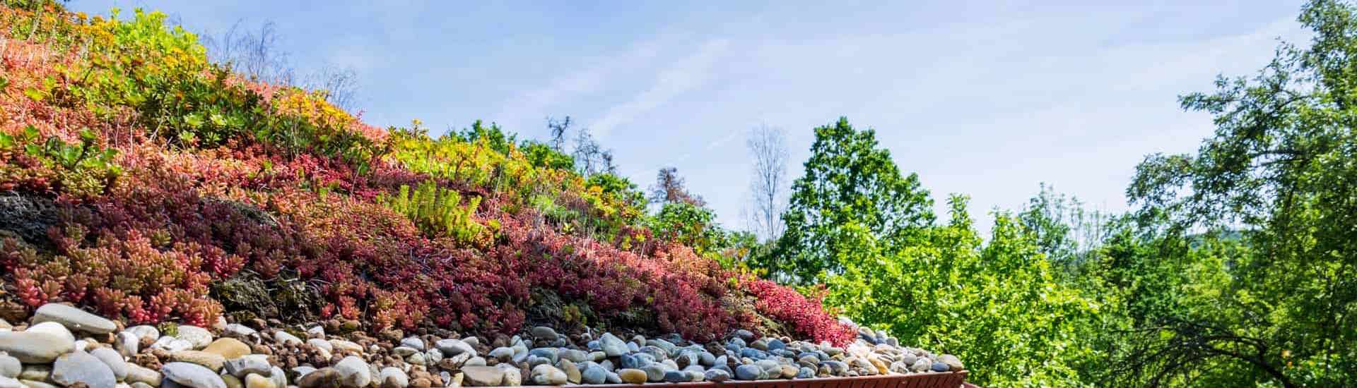 Groen dak: tuingevoel zonder tuin