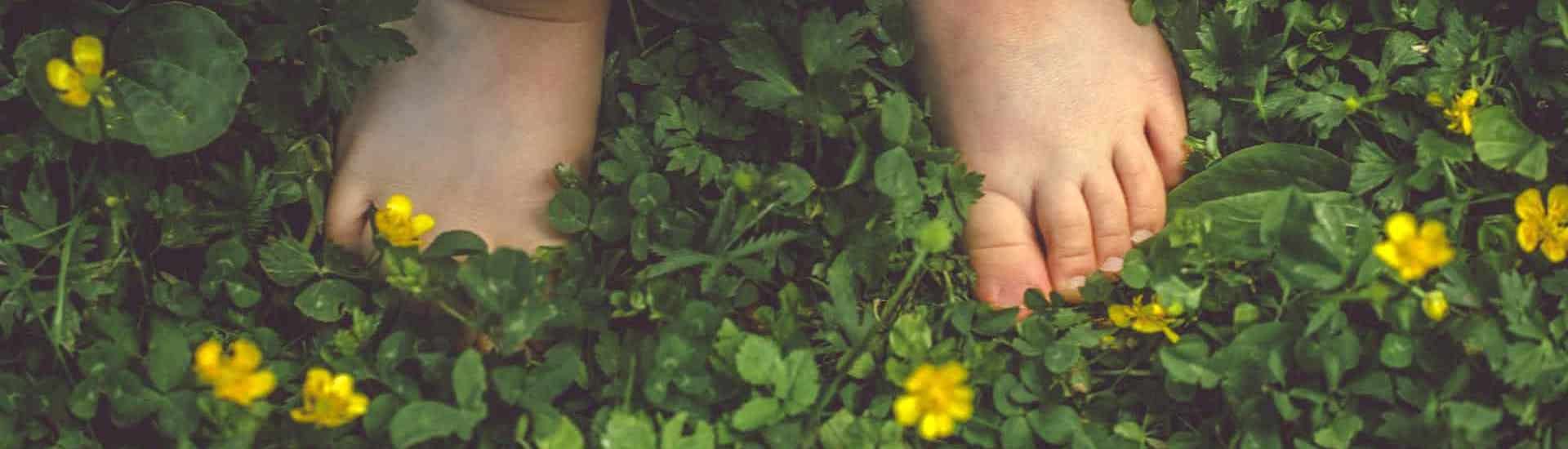 Kindervoetjes in het gras: pas op voor een wespensteek!