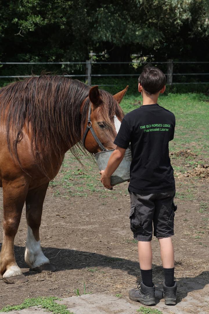 Alexander op The Old Horses Lodge